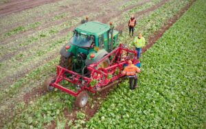 50793_ids-agri-epicentre-lettuce-aerial