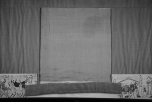 Figure 2 : IDS camera point of view for 2D strain analysis